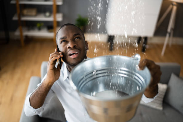 Best Flooded house restoration  in Apple Valley, MN