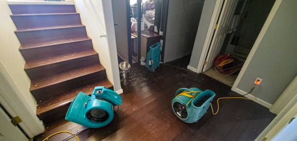 Best Carpet water damage restoration  in Apple Valley, MN