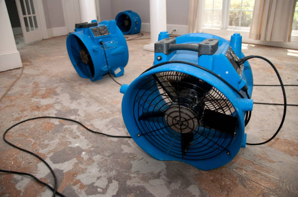Best Sewage cleanup and water damage restoration  in Apple Valley, MN