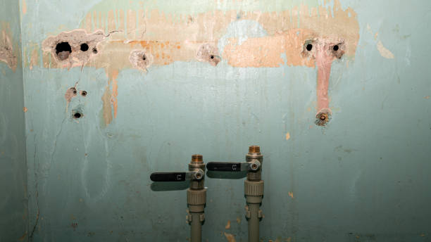 Best Water damage contractors near me  in Apple Valley, MN