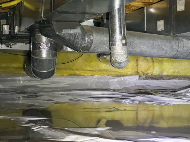 Best Basement water damage restoration  in Apple Valley, MN