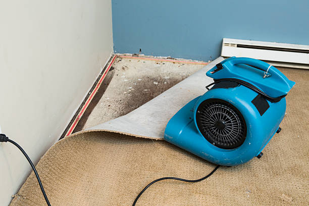 Best Water damage restoration near me  in Apple Valley, MN